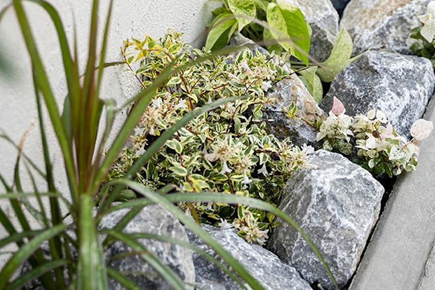 植栽工事