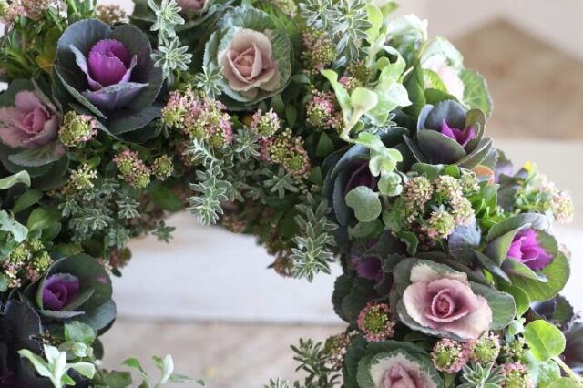 縁起のいい植栽　～新年に向けて～