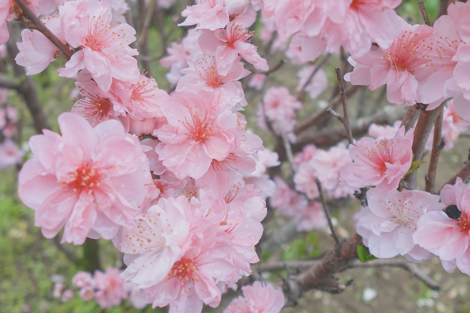 かわいいのに選ばれない・・・？