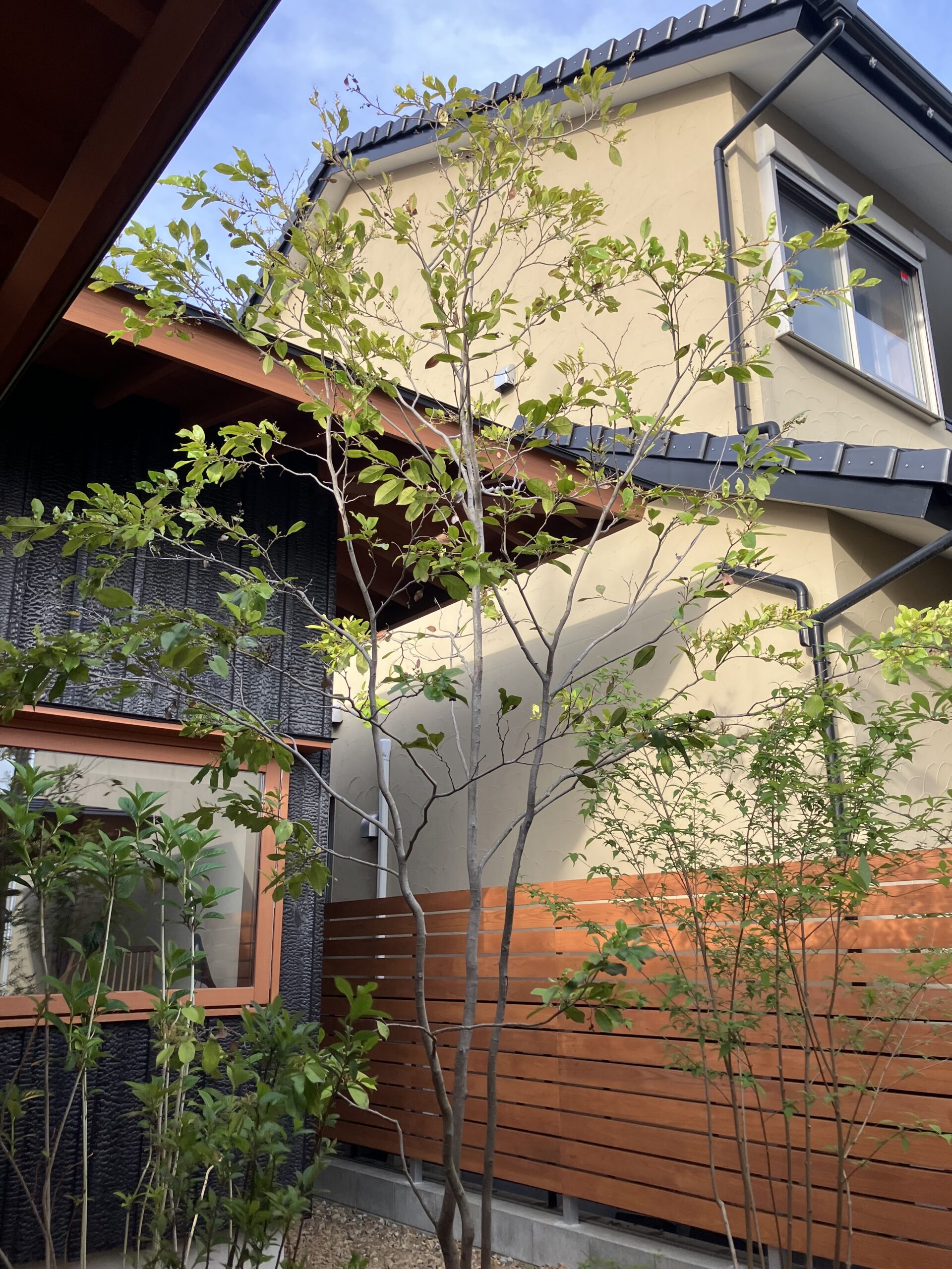 植栽お手入れ（害虫対策）