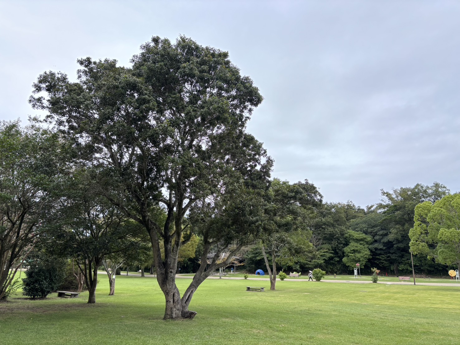 目には見えない