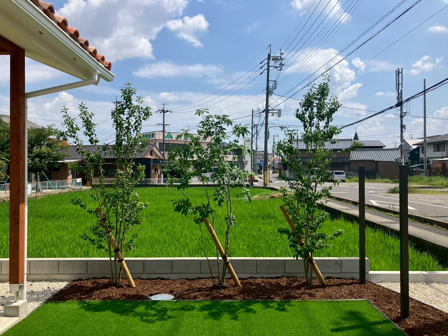 シンボルツリーが彩る、心地よいお庭🌿