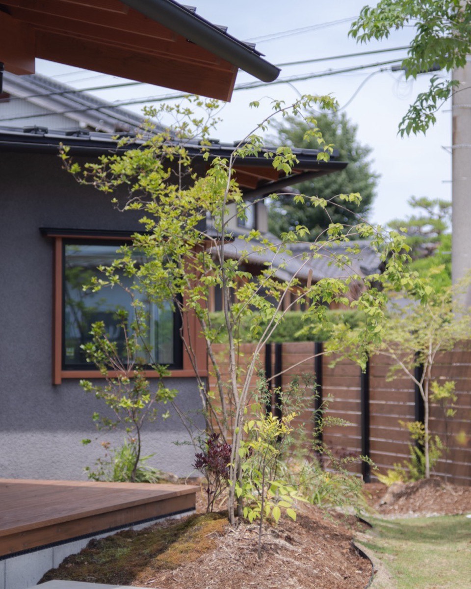 木のフェンスと雑木の植栽